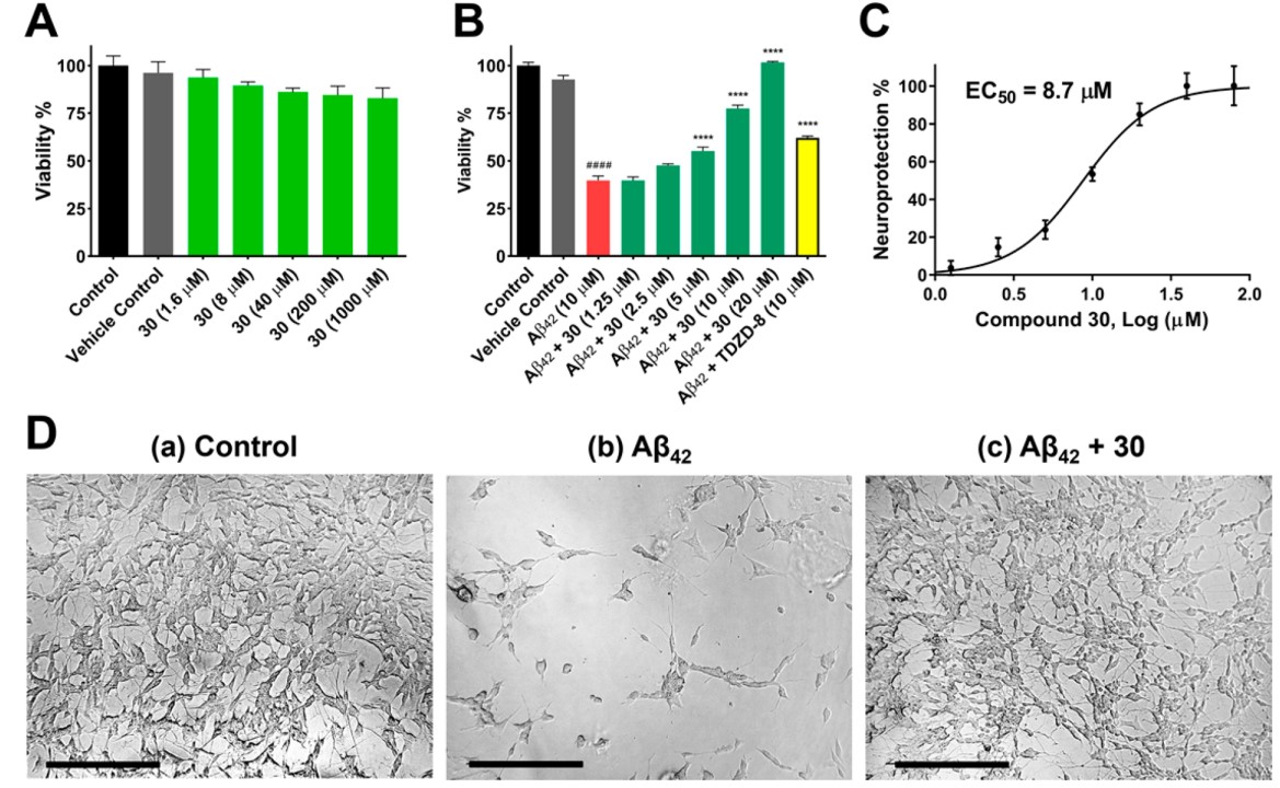 Aβ Induced Neurotoxicity Assay