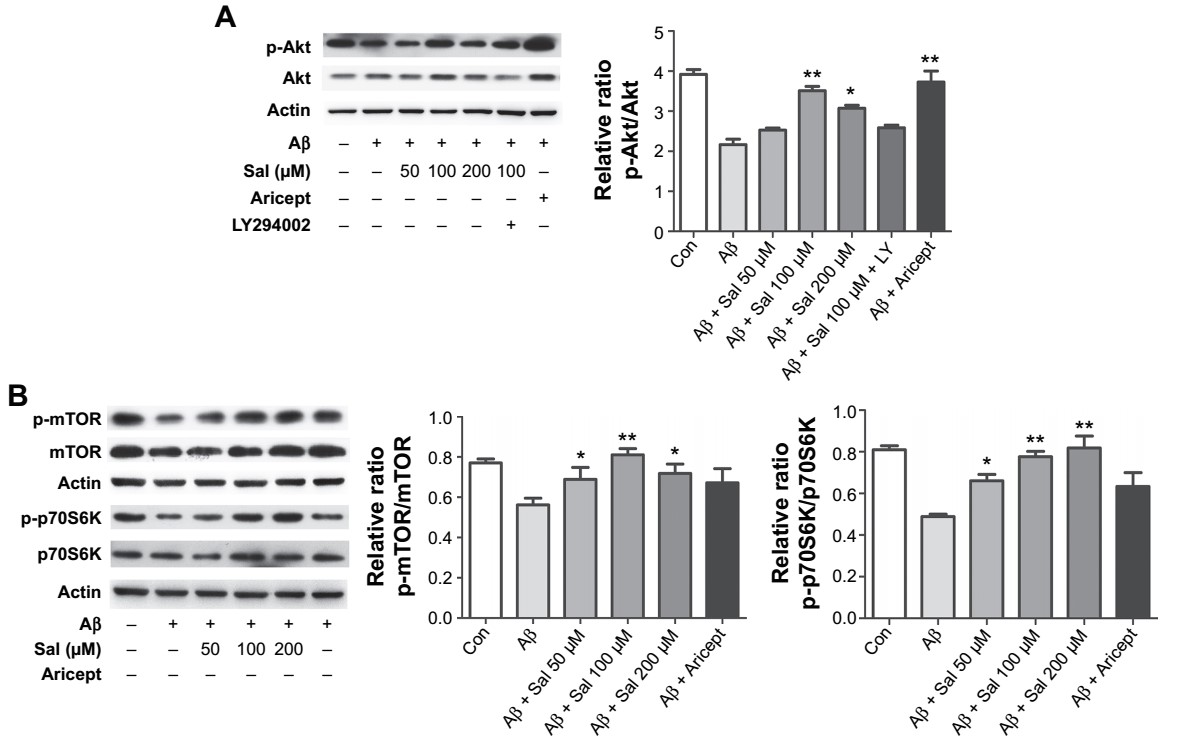 Aβ Induced Neurotoxicity Assay