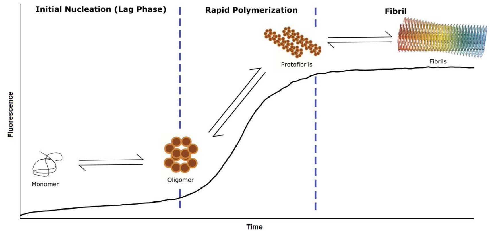 Aβ Peptide Aggregation Inhibition Assay