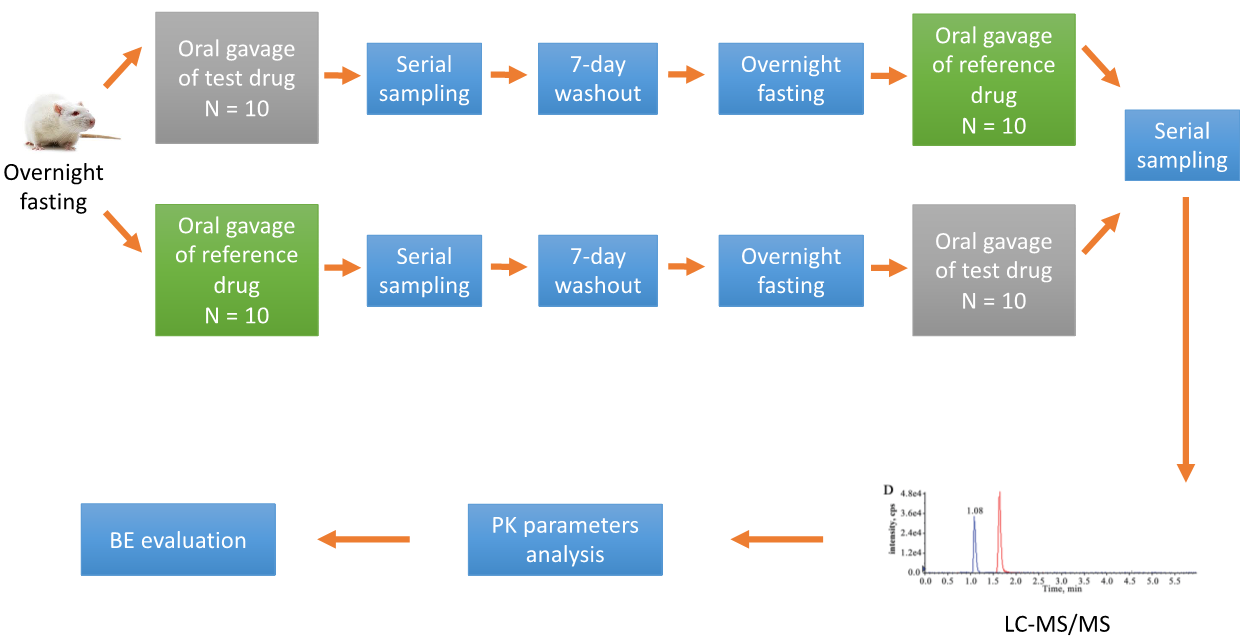 Standard study investigation of the oral BE of two drug formulations.