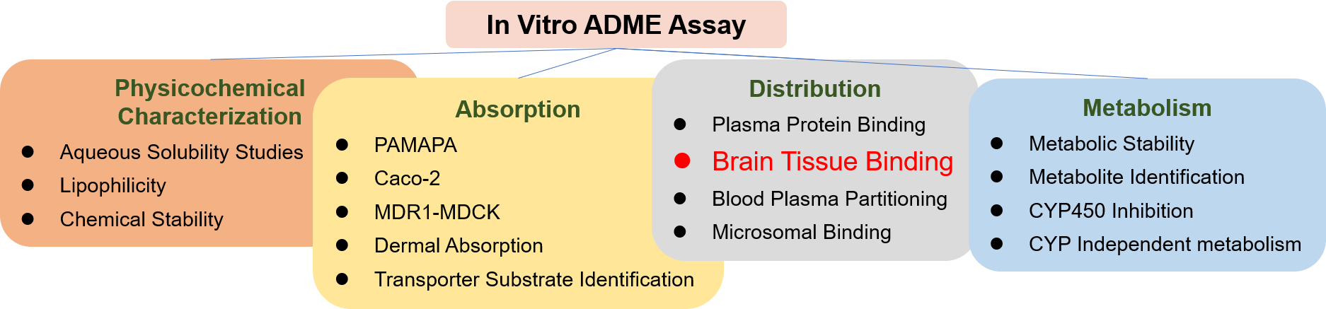 Brain Tissue Binding Assay