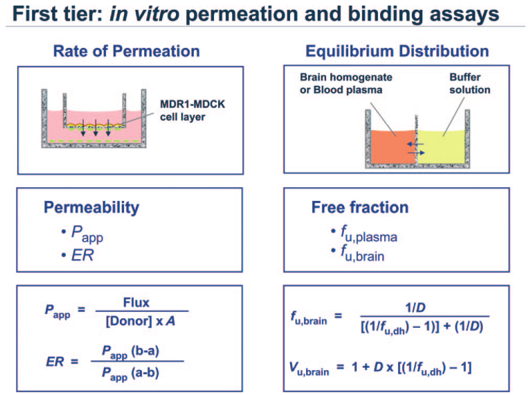 Brain Tissue Binding Assay