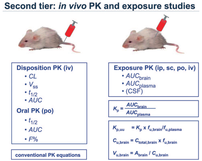 Brain Tissue Binding Assay