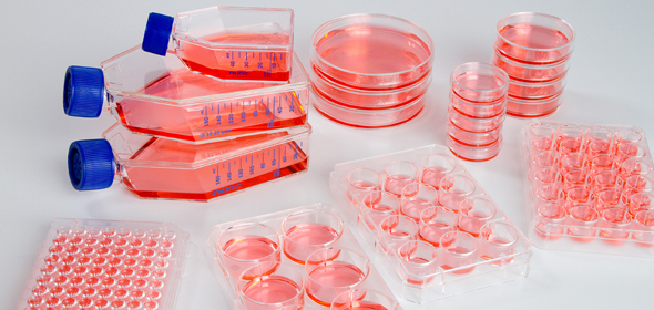 Cell Culture Medium | Creative Bioarray