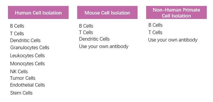 Cell Isolation Kit