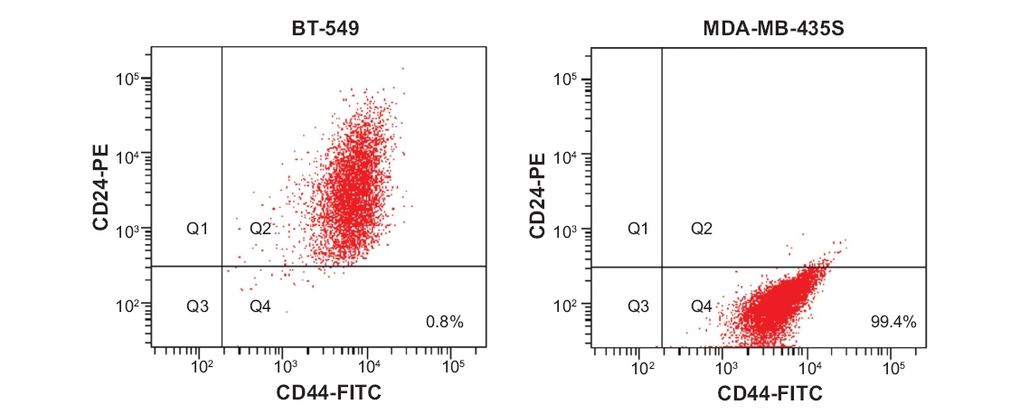 Cell Surface Immunophenotype Analysis