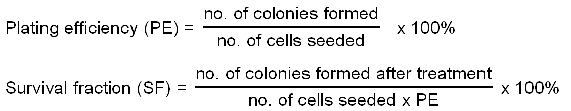 Clonogenic Assay