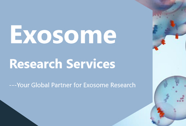 Comprehensive Exosome Research Services from Creative Bioarray