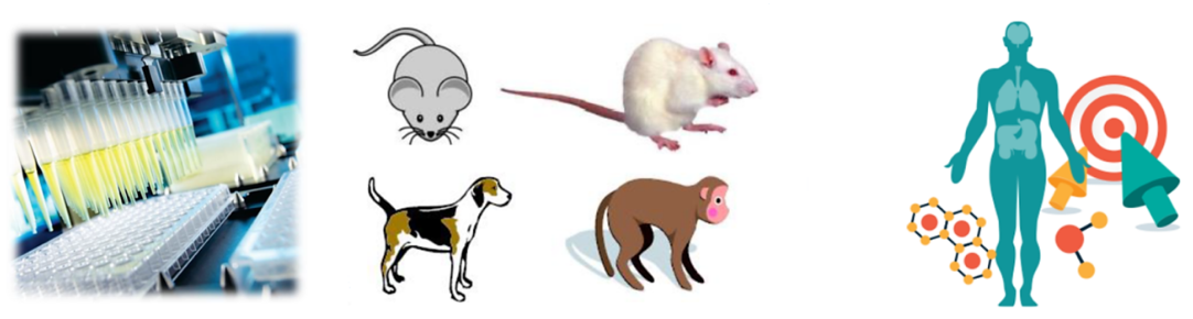 Disease Models