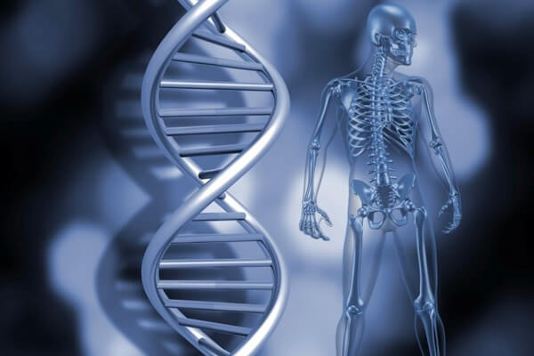 Panels by Genetic Mutation