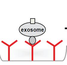 Exosome-Isolation-Immunoplates.png