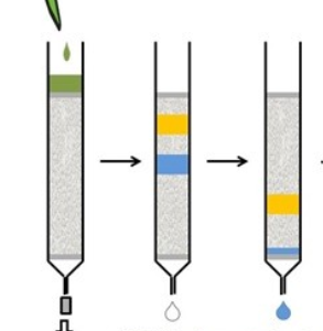 Exosome-Size-Exclusion-Columns.png