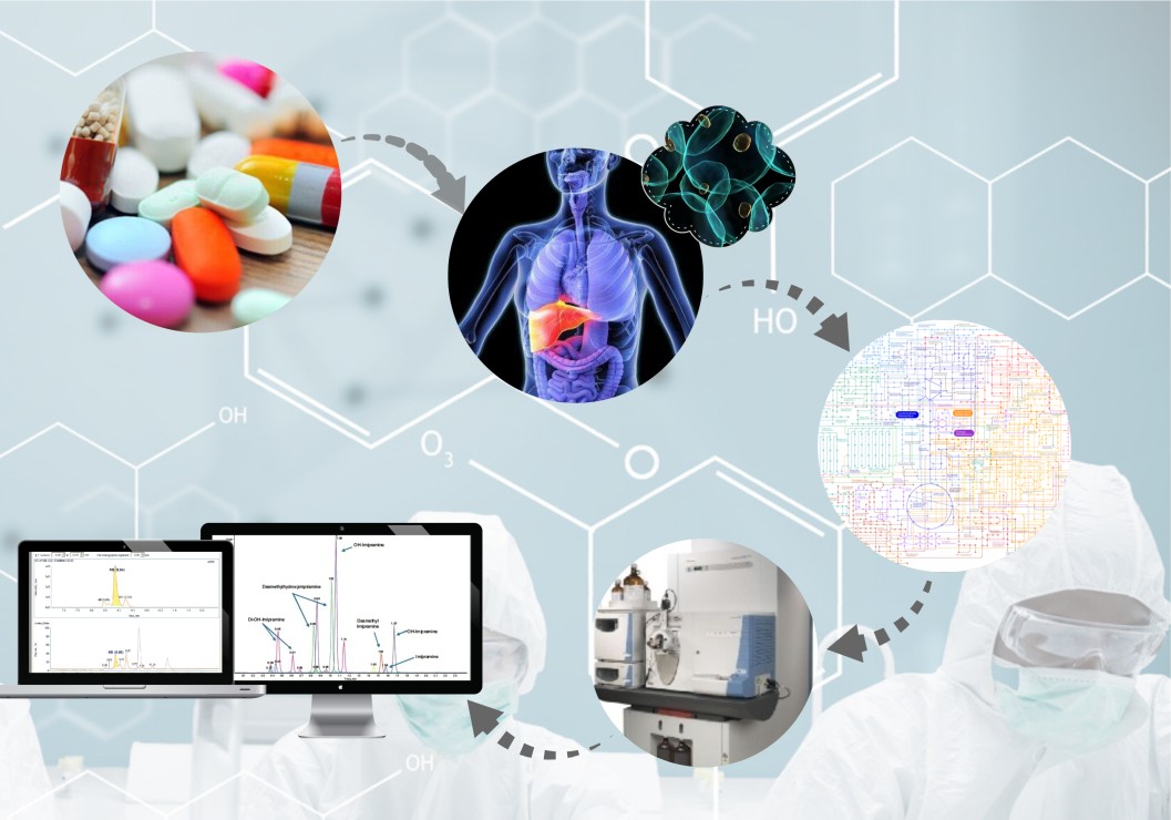 Metabolite identification