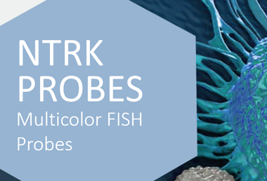 NTRK FISH Probes - Multicolor Fish Probes Preview