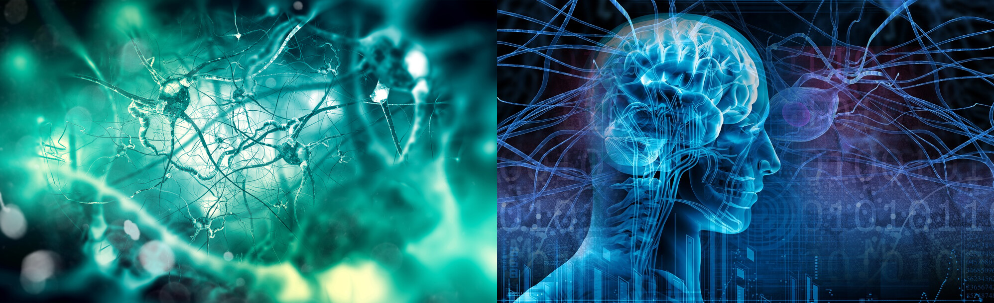 Neurological Disorder Modeling and Assays