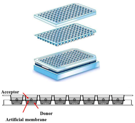 Parallel Artificial Membrane Permeability Assay (PAMPA)
