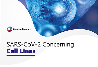 SARS-CoV-2-Concerning-Cell-Lines-from-Creative-Bioarray