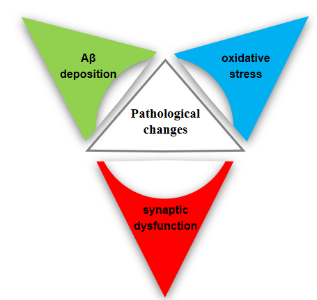 Scopolamine induced model