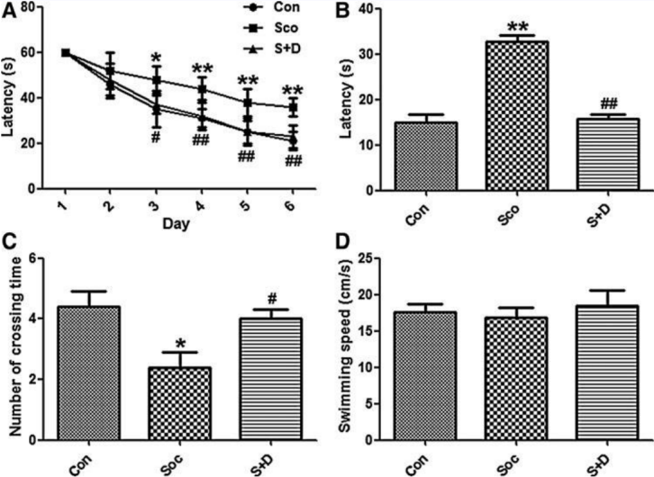 Scopolamine induced model