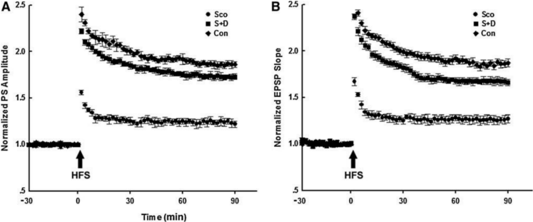 Scopolamine induced model