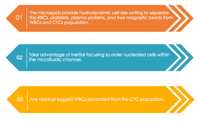 Strategies for Enrichment of Circulating Tumor Cells (CTCs)