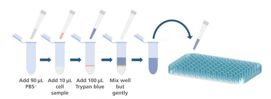 The routine assay process.
