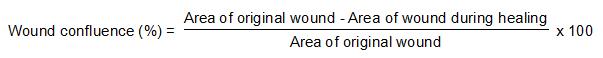 In Vitro Wound Healing Assay