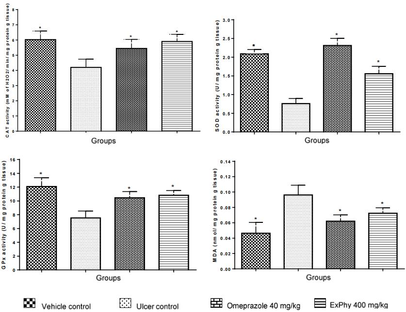 Fig. 3 ExPhy and omeprazole pretreatments, followed by ethanol-induced gastric ulcers, produced protective effects on the gastric mucosal activity of GPx, SOD and CAT, as well as lowering the levels of MDA compared to the ulcer control.