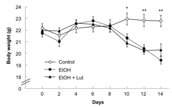 Body weight of male mice that consumed a control diet or an ethanol-containing diet with or without luteolin for 2 wk.