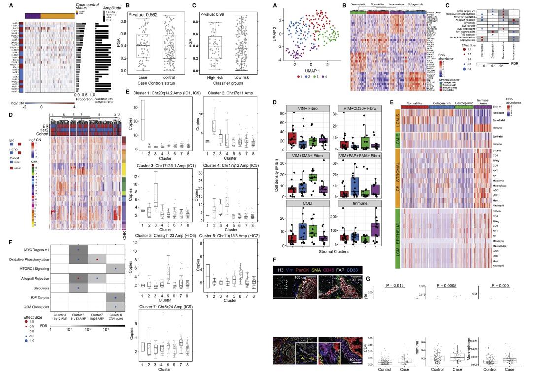 Left: Characteristic IBC CNAs are present in DCIS; Right: TME analysis.