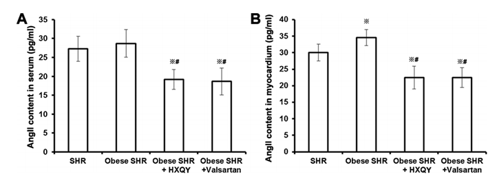 Effects of HXQY decoction on Ang II concentrations in plasma and myocardial samples of obese SHRs. (A and B) Experimental procedures were the same as in Fig. 1. After 8 weeks of treatment of SHRs, the concentrations of Ang II in peripheral blood (A) and left ventricular myocardium (B) were determined by ELISA. n = 9 for each group; ※P < 0.05, compared with the control SHR group; #P < 0.05, compared with the Obese 
SHR group.