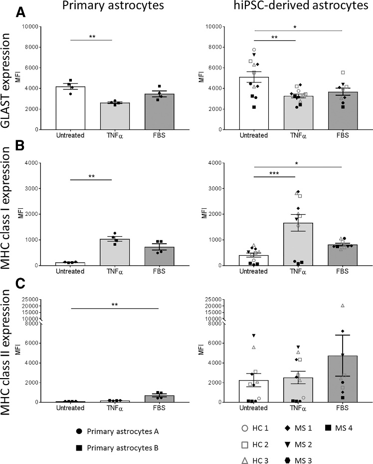 Comparison between Human iPSC-Derived Astrocytes and Primary Astrocytes.