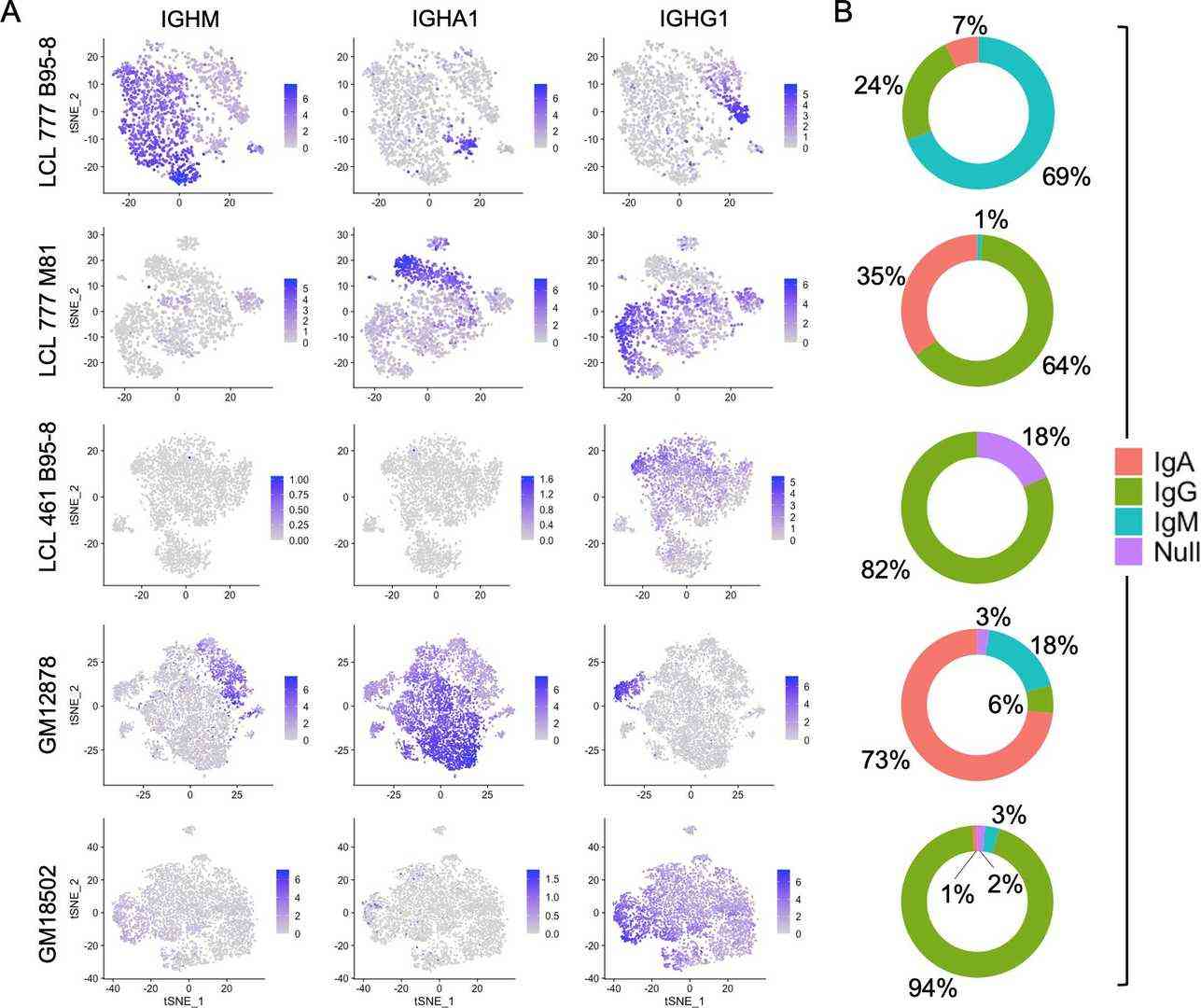 Relative expression of immunoglobulin heavy chain genes (IGHM, IGHA1, and IGHG1) in five LCLs and the percentage of cells in LCL population within each isotype class.