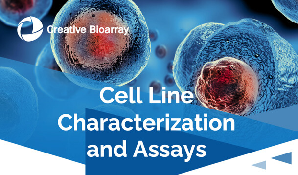 Cell Line Characterization and Assays