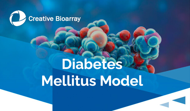 Diabetes Mellitus Model Flyer