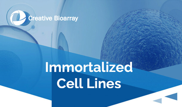 Immortalized Cell Lines