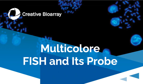 Multicolor FISH and Its Probe Flyer
