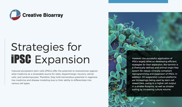 Strategies for iPSC Expansion