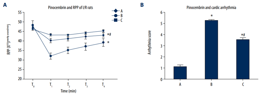 Effects of pinocembrin on I/R rat RPP and cardiac arrhythmia. T0 – 10 min before ischemia; T1 – 30 min after ischemia; T2 – 30 min after reperfusion; T3 – 60 min after re-perfusion; T4 – 120 min reperfusion. RPP – rate pressure product. A – sham group; B – model group; C – pinocembrin group.