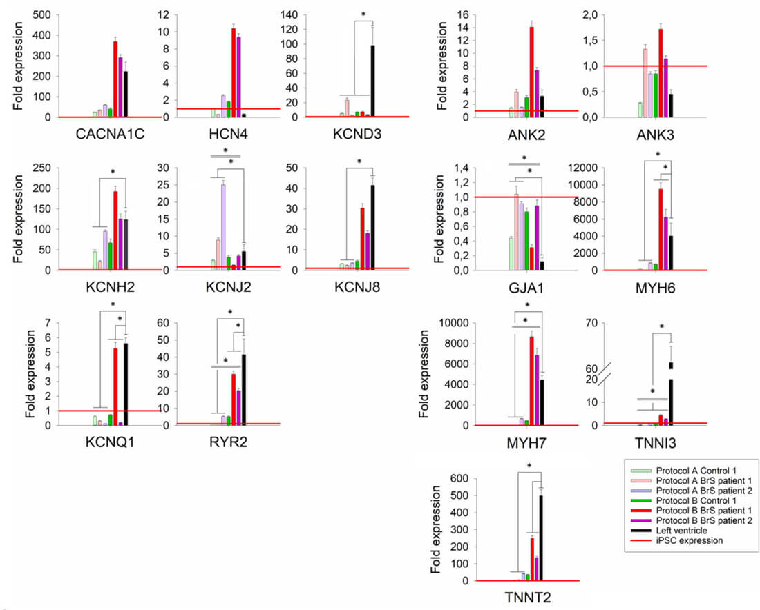 Fig. 3. Relative expression levels of tested cardiac markers for cells differentiated with protocols A and B