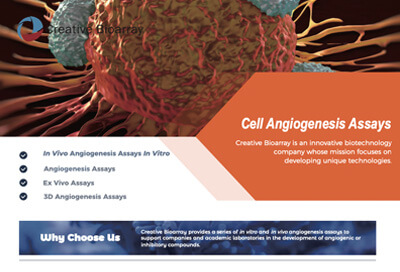 Cell Angiogenesis Assays