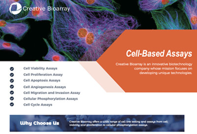 Cell-Based Assays