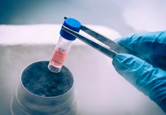 Cell Cryopreservation Techniques and Practices