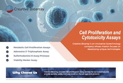 Cell Proliferation and Cytotoxicity Assays
