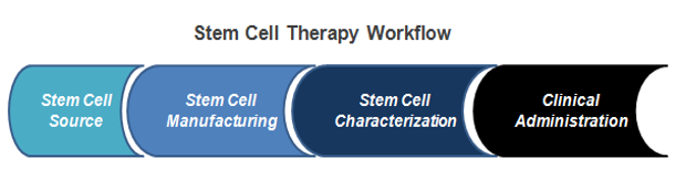 Cell Surface Markers Validation Service