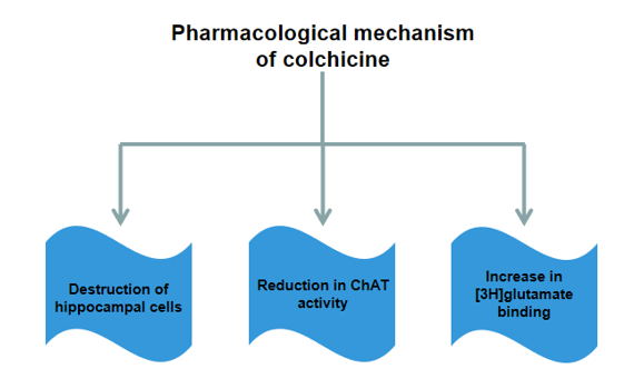 Pharmacological mechanism of colchicine-induced Alzheimer's disease model