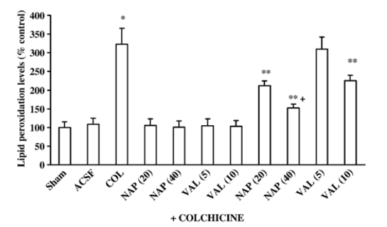 Colchicine induced model