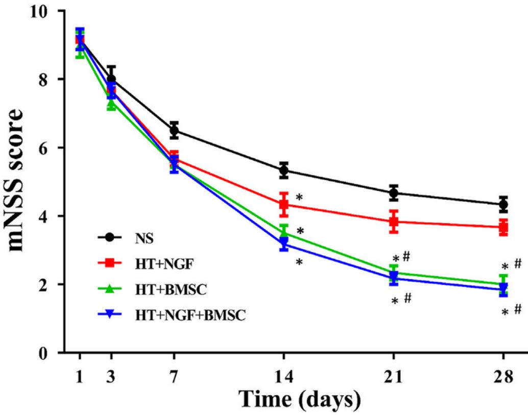 Fig. 3 The mNSS score of implanted TBI mice in each group.