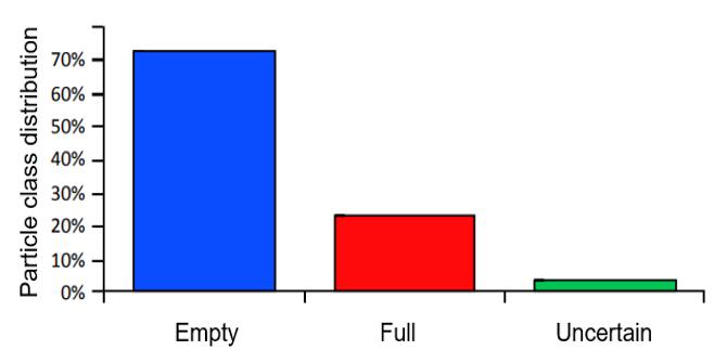 A representative histogram displaying the percentages of filled, empty and intermediate AAV particles, as determined from semi-automated detection. Particle classification is based on internal density analysis of each particle.
