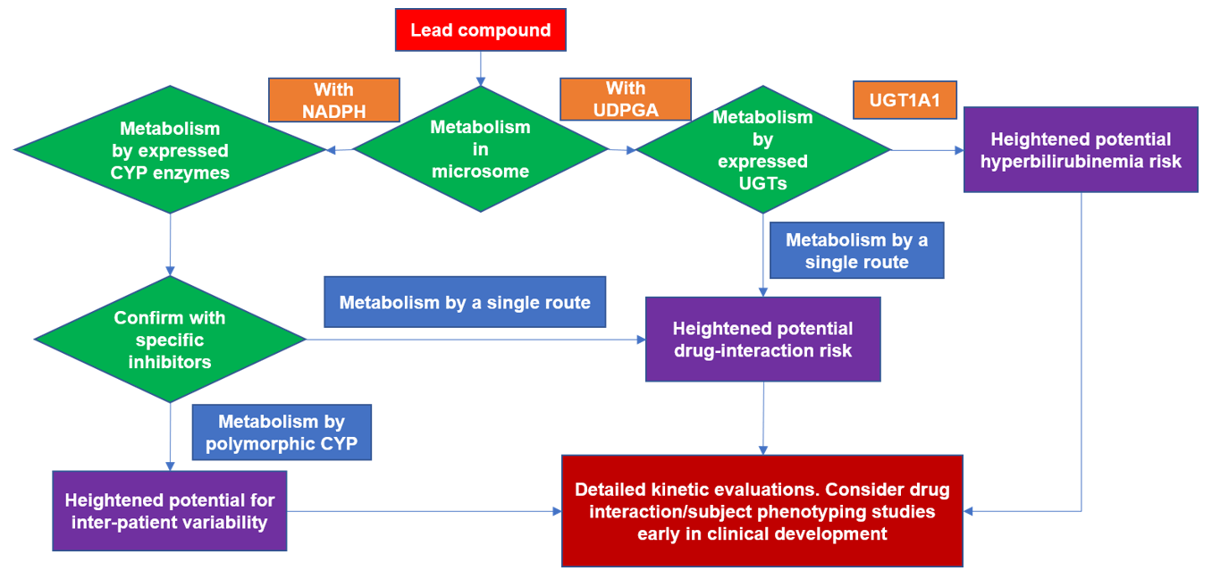 Flowchart for typical reaction phenotyping evaluation of a lead drug candidate.